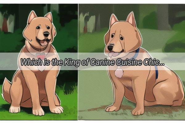 Which is the King of Canine Cuisine Chicken or Beef A Tasty Debate for Furry Friends